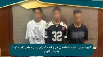 تنويه عاجل.. ضبط 3 متهمين في واقعة تحرش بسيدة داخل “توك توك” بفيصل اليوم